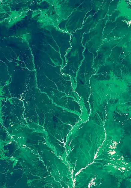 A NASA satellite topographic image of the Amazon River, showcasing its numerous branches and tributaries.