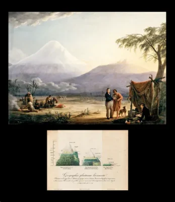 Top: A painting from 1806 depicting Alexander von Humboldt (standing, left) collecting flora and fauna samples near Chimborazo volcano in Ecuador. Bottom: Humboldt's drawings comparing various ecosystems at different elevations on Chimborazo and Mont Blanc in the Alps.
