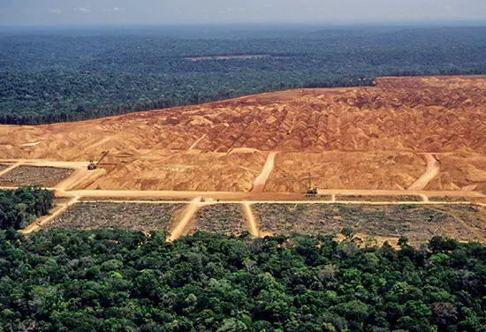 Clear-cut and deforested jungle in the Amazon River basin, Brazil.