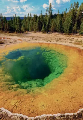 Morning Glory Pool, located in Yellowstone National Park, Wyoming, is a hot spring with vibrant colors along its outer edges. These colors result from a diverse community of hyperthermophilic bacteria that can thrive in the extreme high-temperature conditions of the spring, which can exceed 176°F (80°C).