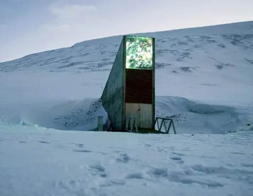 A 2015 photo of the entrance to the Global Seed Vault located in Svalbard on the Norwegian island of Spitsbergen.