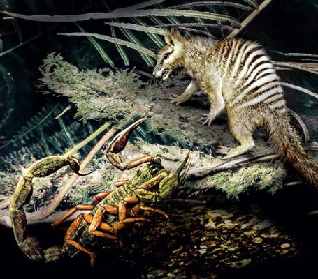 An artist's depiction of Megazostrodon, a small, furry, shrew-like early mammal, encountering a scorpion, first appearing in the fossil record around 200 million years ago