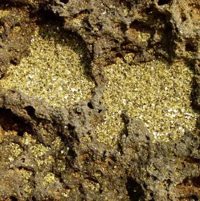 Green sand, composed of olivine mineral grains, found on a volcanic beach on the island of Hawaii.
