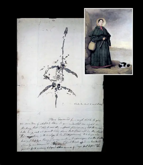 Main image: A letter and sketch from 1823 by Mary Anning announcing the discovery of Plesiosaurus fossils. Inset: A portrait of the nineteenth-century geologist Mary Anning, with her rock hammer, sample bag, and her dog Tray.